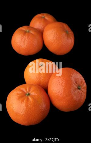 Mandarinen auf schwarzem Hintergrund Stockfoto