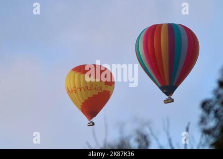 Heißluftballons fliegen tief in Yarra Valley, Victoria, Australien Stockfoto