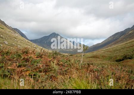 CIR Mhor steigt über Glen Rosa auf der Isle of Arran North Ayrshire Schottland Stockfoto