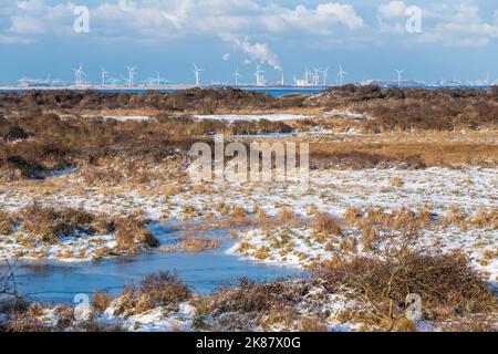 Die Dünen von Kwade Hoek an einem Wintertag in Goeree-Overflakkee in den Niederlanden. Die Industrie und die Windkraftanlagen der Maasvlakte, Hafen von Rotterdam, Stockfoto