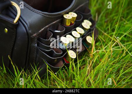 Eine Lederkartuschentasche mit 12 gebohrten Flintenpatronen Stockfoto