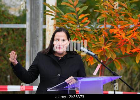 21. Oktober 2022, Brandenburg, Cottbus/OT Branitz: Die Brandenburgische Ministerin für Wissenschaft, Forschung und Kultur, Manja Schüle (SPD), spricht im Freilichtpark Branitz auf dem Gelände der zukünftigen "New Tree University" vor ehemaligen Gewächshäusern. Vorgestellt wurde das Modellprojekt 'New Tree University Branitz' der Bundesregierung zur Erhaltung historischer Gärten im Klimawandel. Auf dem Gelände eines ehemaligen Marktgartens soll eine neue Ära der 176 Jahre alten Branitz Tree University entstehen. Der Outdoor-Park wird große Anbauflächen für die Vermehrung und das Erleben von Gehölzen bieten Stockfoto