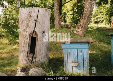 Eine alte Holzallee steht im Wald. Bienenhäuser befinden sich auf dem grünen Gras Stockfoto