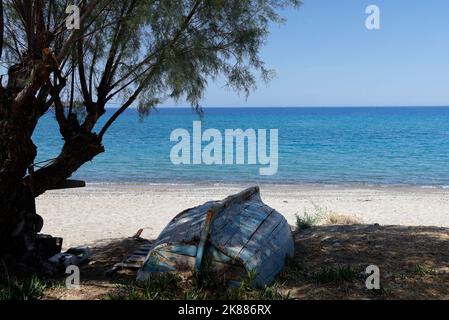 Altes umgedrehtes Ruderboot am Strand im Schatten eines Tamarisken-Baumes. Lesbos. September / Oktober 2022. Herbst. Stockfoto