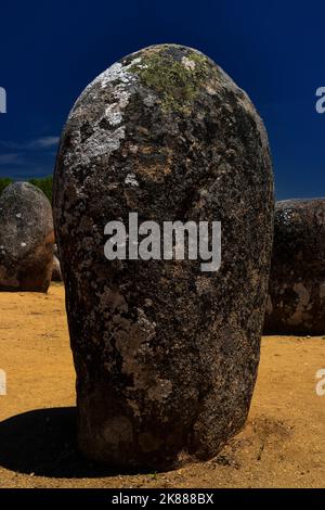 Flechten überziehen die Oberfläche der abgerundeten Granitfelsen, die vor 7.000 Jahren in Kreisen gruppiert wurden, um den Almendres Cromlech bei Évora in Alentejo, Portugal, zu erschaffen. Der Megalithkomplex, bekannt als portugiesischer Stonehenge, ist mindestens 2.000 Jahre älter als das weltberühmte Denkmal auf der englischen Salisbury Plain Stockfoto