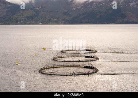 Eine Lachsfischfarm in Norwegen. Norwegen ist der größte Produzent von Zuchtlachs in der Welt. Stockfoto