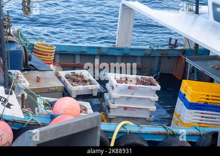 Kartons mit frisch gefangenen Krabben auf einem Boot im Hafen von Portree auf der Isle of Skye Stockfoto