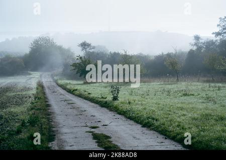 Mystischer Morgennebel liegt über einem Feld und einem Feldweg, der im Nebel in bewaldete Hügel führt. Stockfoto