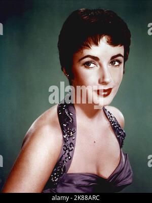 Elizabeth Taylor Schauspielerin 01. April 1952 **WARNUNG** dieses Foto ist nur für redaktionelle Zwecke bestimmt und unterliegt dem Urheberrecht der Film Company und/oder des von der Film or Production Company beauftragten Fotografen und kann nur durch Veröffentlichungen in Verbindung mit der Werbung für den oben genannten Film reproduziert werden. Es ist eine obligatorische Gutschrift an die Filmgesellschaft erforderlich. Der Fotograf sollte ebenfalls angerechnet werden, wenn er bekannt ist. Ohne schriftliche Genehmigung der Film Company kann keine kommerzielle Nutzung gewährt werden. Stockfoto
