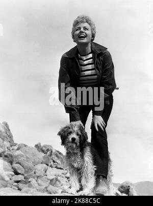 Shelley Winters Actress 01 May 1951 **WARNUNG** Dieses Foto ist nur für den redaktionellen Gebrauch bestimmt und unterliegt dem Copyright der Film Company und/oder des Fotografen, der von der Film- oder Produktionsfirma beauftragt wurde, und kann nur durch Publikationen im Zusammenhang mit der Bewerbung des oben genannten Films reproduziert werden. Eine obligatorische Gutschrift an die Filmgesellschaft ist erforderlich. Der Fotograf sollte auch bei Bekanntwerden des Fotos gutgeschrieben werden. Ohne schriftliche Genehmigung der Film Company kann keine kommerzielle Nutzung gewährt werden. Stockfoto