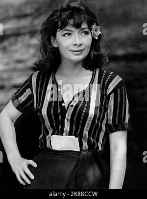 Juliette Greco Actress 01 May 1957 **WARNUNG** Dieses Foto ist nur für den redaktionellen Gebrauch bestimmt und unterliegt dem Copyright der Filmgesellschaft und/oder des Fotografen, der von der Film- oder Produktionsgesellschaft beauftragt wurde und kann nur durch Publikationen im Zusammenhang mit der Bewerbung des oben genannten Films reproduziert werden. Eine obligatorische Gutschrift an die Filmgesellschaft ist erforderlich. Der Fotograf sollte auch bei Bekanntwerden des Fotos gutgeschrieben werden. Ohne schriftliche Genehmigung der Film Company kann keine kommerzielle Nutzung gewährt werden. Stockfoto