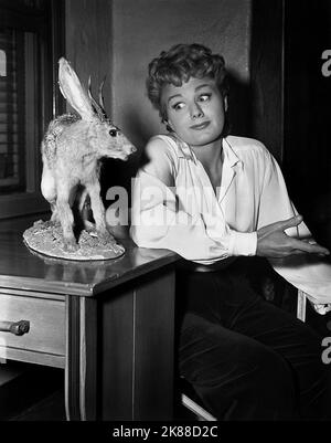 Shelley Winters Actress 01 May 1951 **WARNUNG** Dieses Foto ist nur für den redaktionellen Gebrauch bestimmt und unterliegt dem Copyright der Film Company und/oder des Fotografen, der von der Film- oder Produktionsfirma beauftragt wurde, und kann nur durch Publikationen im Zusammenhang mit der Bewerbung des oben genannten Films reproduziert werden. Eine obligatorische Gutschrift an die Filmgesellschaft ist erforderlich. Der Fotograf sollte auch bei Bekanntwerden des Fotos gutgeschrieben werden. Ohne schriftliche Genehmigung der Film Company kann keine kommerzielle Nutzung gewährt werden. Stockfoto