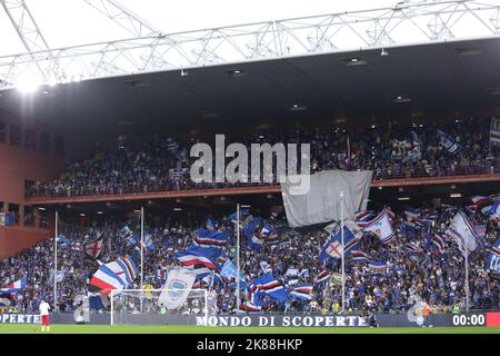 Genua, Ge, Italien. 17. Oktober 2022. Italien, Genua, 17 2022. oktober: Sampdorias Fans winken die Fahnen und zeigen Banner auf den Tribünen während des Fußballspiels SAMPDORIA vs. AS ROMA, Serie A Tim 2022-2023 day10 Ferraris Stadium (Bildquelle: © Fabrizio Andrea Bertani/Pacific Press via ZUMA Press Wire) Stockfoto