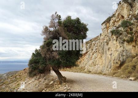 Gramvousa Peninsula, Chersonesos Gramvousas, Kreta, Griechenland, Europa Stockfoto