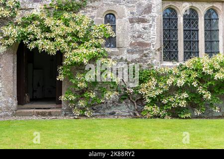 Calstock.Cornwall.Vereinigtes Königreich.Juli 23 2021.Blick auf Cotehele Haus in Cornwall Stockfoto