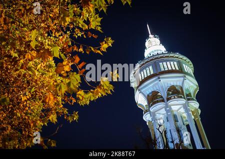 Eine Aufnahme des Wasserturms von Margaret Island mit Herbstlaub, der nachts beleuchtet wird. Budapest. Stockfoto