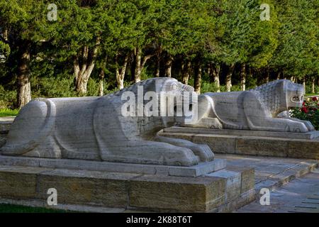 Die Anitkabir Löwenstraße Statuen vor dem Hintergrund von grünen Bäumen. Ankara, Türkei. Stockfoto