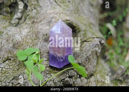 Eine Nahaufnahme von Amethyst auf einer alten Baumrinde Stockfoto