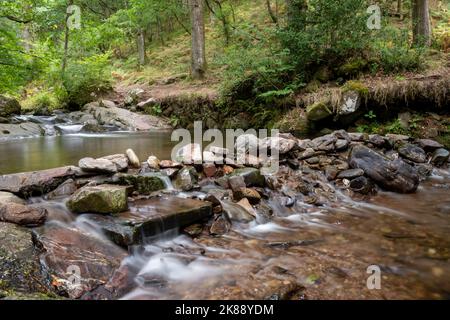 Langzeitbelichtung des Horner Wasserflusses, der über einen Damm in Horner Wäldern in Somerset fließt Stockfoto