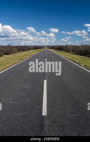 Route in der Pampas-Ebene, Patagonien, Argentinien Stockfoto