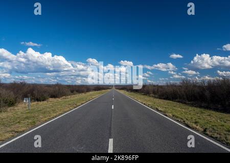 Route in der Pampas-Ebene, Patagonien, Argentinien Stockfoto