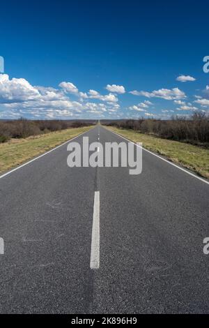 Route in der Pampas-Ebene, Patagonien, Argentinien Stockfoto