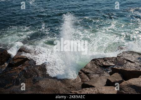 Wellen, die hoch in die Luft stürzen, entlang der felsigen Küste von Maine im Acadia National Park, Mount Desert Island, Maine, USA Stockfoto