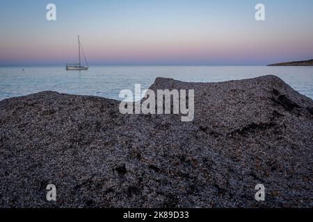 Ansammlung von toten Posidonia in Cala Millor Strand, außen, im Freien, Balearen, Spanien Stockfoto