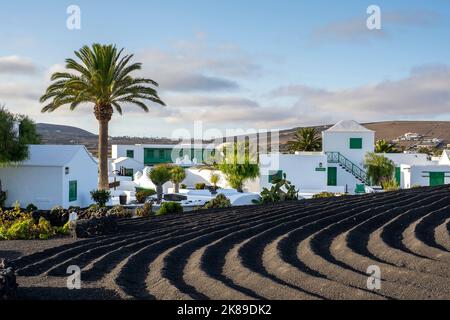 Casa Museo del Campesino, entworfen von Cesar Manrique, San Bartolome, Insel Lanzarote, Kanarische Inseln, Spanien Stockfoto