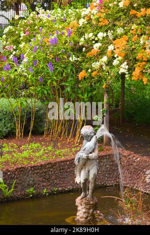 Portugal, Madeira, Funchal, Quinta Vigia, Garten, Brunnen, Stockfoto