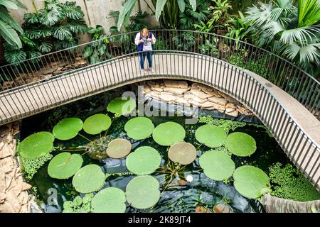 Bogota Kolumbien,Engativa Calle 63 Jardin Botanico de Bogota¡ Jose Celestino Mutis Botanischer Garten,Expedicion Tropicario tropisches Expeditionsökosystem Stockfoto