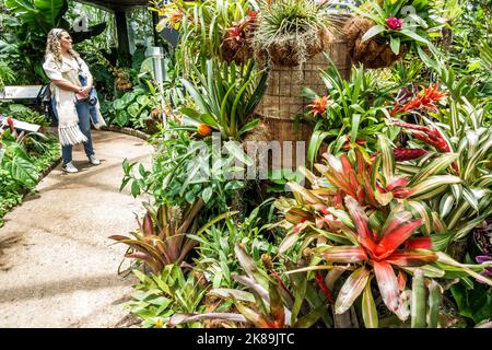 Bogota Kolumbien,Engativa Calle 63 Jardin Botanico de Bogota¡ Jose Celestino Mutis Botanischer Garten,Expedicion Tropicario tropisches Expeditionsökosystem Stockfoto