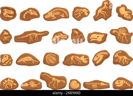 Dinosaurier fossile Symbole setzen Cartoon-Vektor. Naturerziehung. Geologie der Tiere Stock Vektor