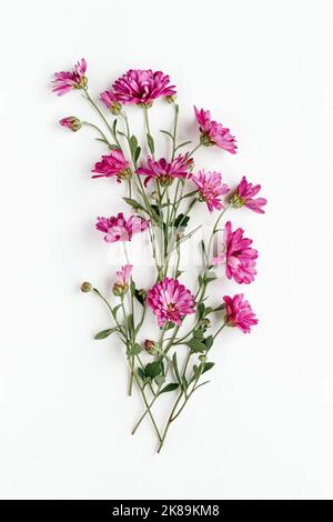 Rosa Blüten auf weißem, floralem Arrangement aus rosa Chrysanthemen, Flatlay mit Kopierraum Stockfoto