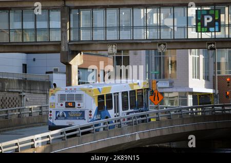 Halifax Transit New Flyer D40LF Busverbindung 41. Abgebildet auf einer Autobahnrampe der Cogswell Interchange in der Innenstadt von Halifax, Nova Scotia, Kanada. Stockfoto