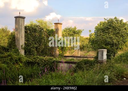 Das von Efeu bedeckte Zugangstor zu einem verlassenen Garten bei Sonnenuntergang Stockfoto