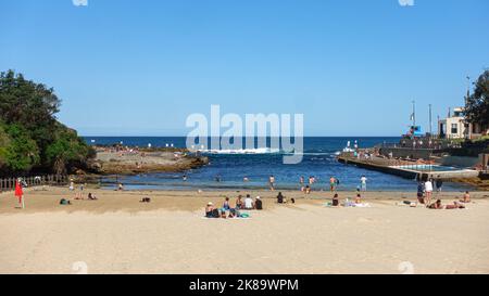 Menschen im Sand am Clovelly Beach in Sydney, Australien Stockfoto