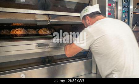 Gruppe von Panettonkuchen, die im Profi-Ofen beim Bäcker backen Stockfoto