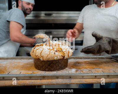 Gruppe von Panettonkuchen, die im Profi-Ofen beim Bäcker backen Stockfoto
