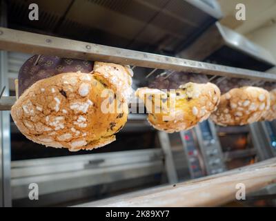 Gruppe von Panettonkuchen, die im Profi-Ofen beim Bäcker backen Stockfoto