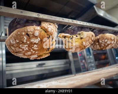 Gruppe von Panettonkuchen, die im Profi-Ofen beim Bäcker backen Stockfoto