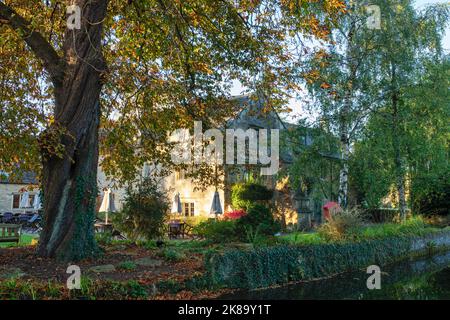 Aesculus hippocastanum. Kastanienbaum im Herbst vor dem Slaughter Country Inn. Lower Slaughter, Cotswolds, Gloucestershire. UK Stockfoto