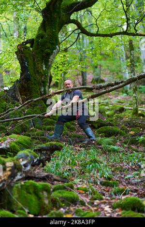 Erfahrener Wanderer, der sich auf einem Wanderweg durch einen alten, üppigen Wald schlenderte Stockfoto