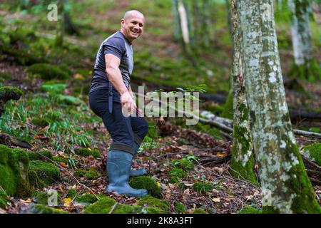 Erfahrener Wanderer, der sich auf einem Wanderweg durch einen alten, üppigen Wald schlenderte Stockfoto