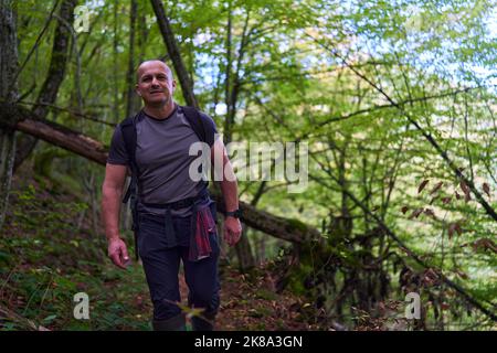 Erfahrener Wanderer, der sich auf einem Wanderweg durch einen alten, üppigen Wald schlenderte Stockfoto