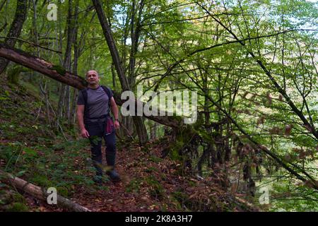 Erfahrener Wanderer, der sich auf einem Wanderweg durch einen alten, üppigen Wald schlenderte Stockfoto