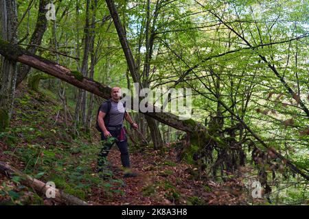 Erfahrener Wanderer, der sich auf einem Wanderweg durch einen alten, üppigen Wald schlenderte Stockfoto