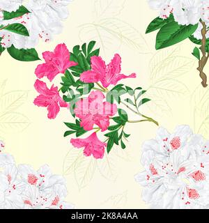 Nahtlose Textur Zweig weiß und rosa Blume Rhododendron vintage Vektor editierbare Illustration Hand zeichnen Stock Vektor