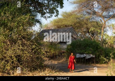 Tarangire, Tansania - 12.. Oktober 2022: Eine einheimische Frau, die an einer Savannenhütte in Tansania vorbeiläuft. Stockfoto