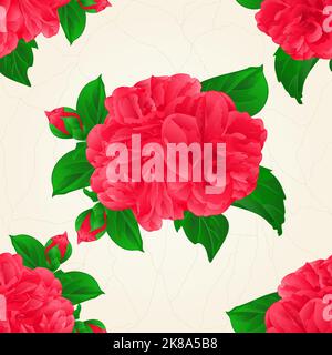 Nahtlose Textur Camellia Japonica roten Blumen mit Knospen vintage Hand zeichnen Vektor botanische Illustration für Design Stock Vektor